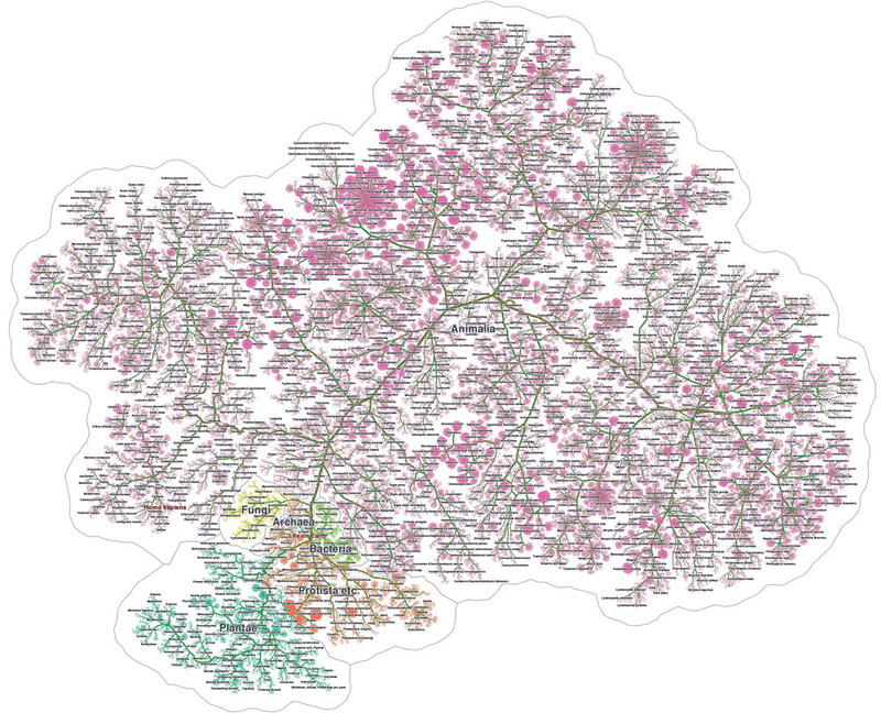 Illustration for article titled 14 Complex Data Visualizations That Take The Form Of A Tree